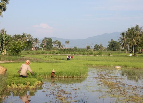 Book your dream tours in Cambodia with Vana Travel-Cambodia Adventure Travel Specialist