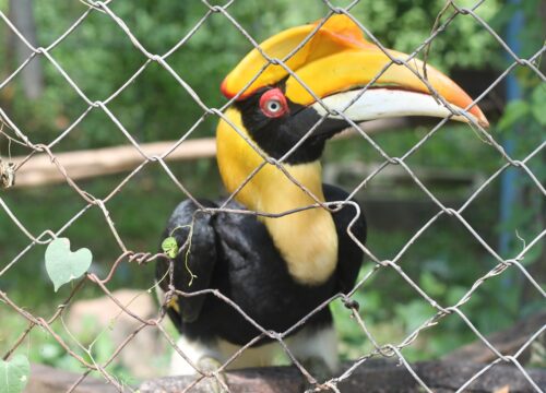 Trails to Wildlife Rescue Center