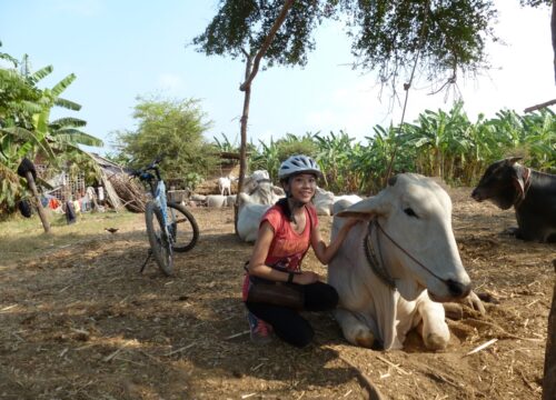 Travelling solo? How to find local guide or tour in Cambodia