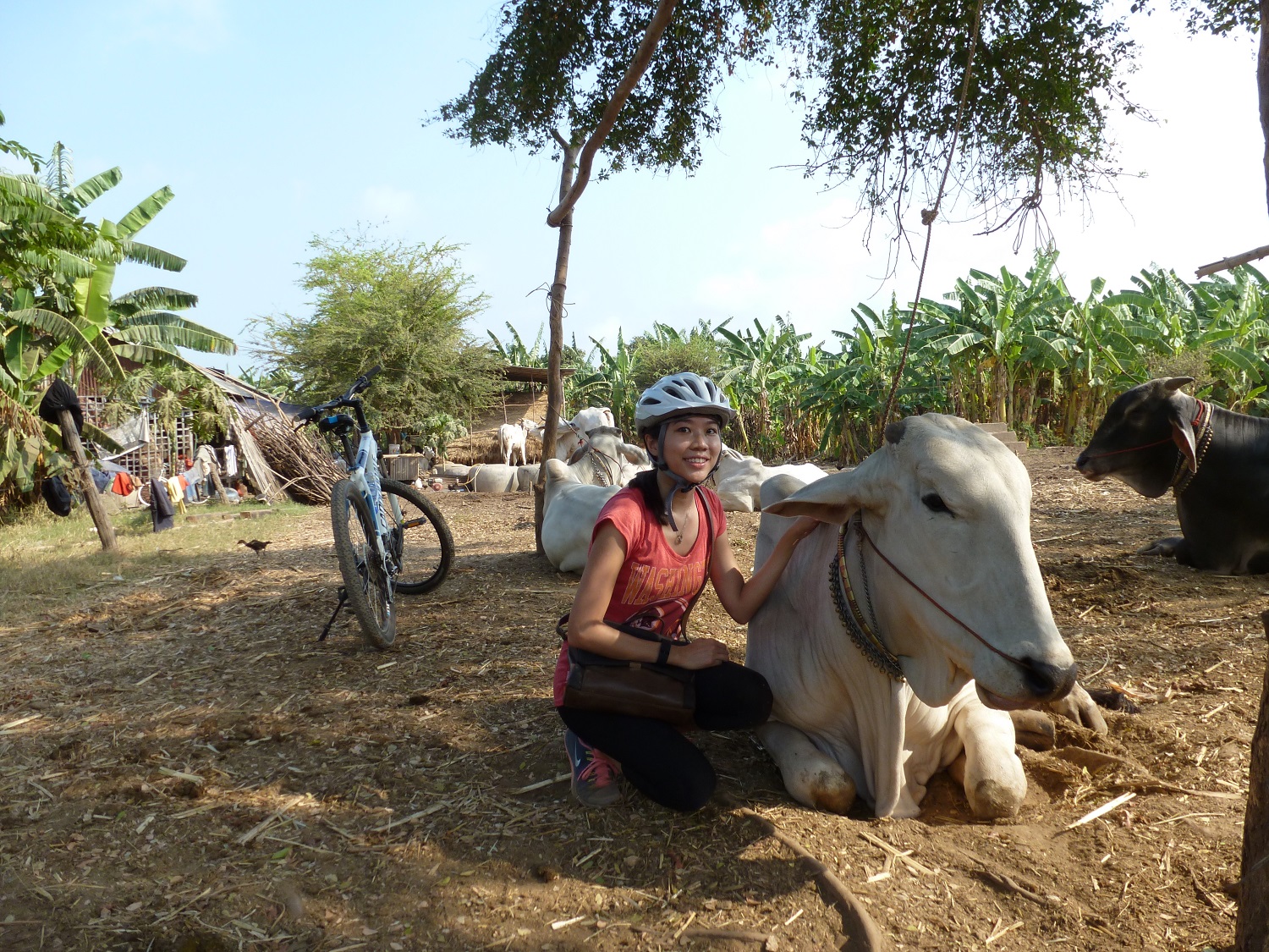 Explore yourself solo mekong island bike tours with an expert guide team.