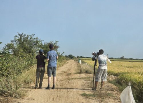 A Journey Through Time: Bird Watching in Cambodia with Vana Adventure Travel