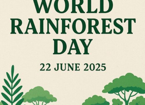 World Rainforest Day