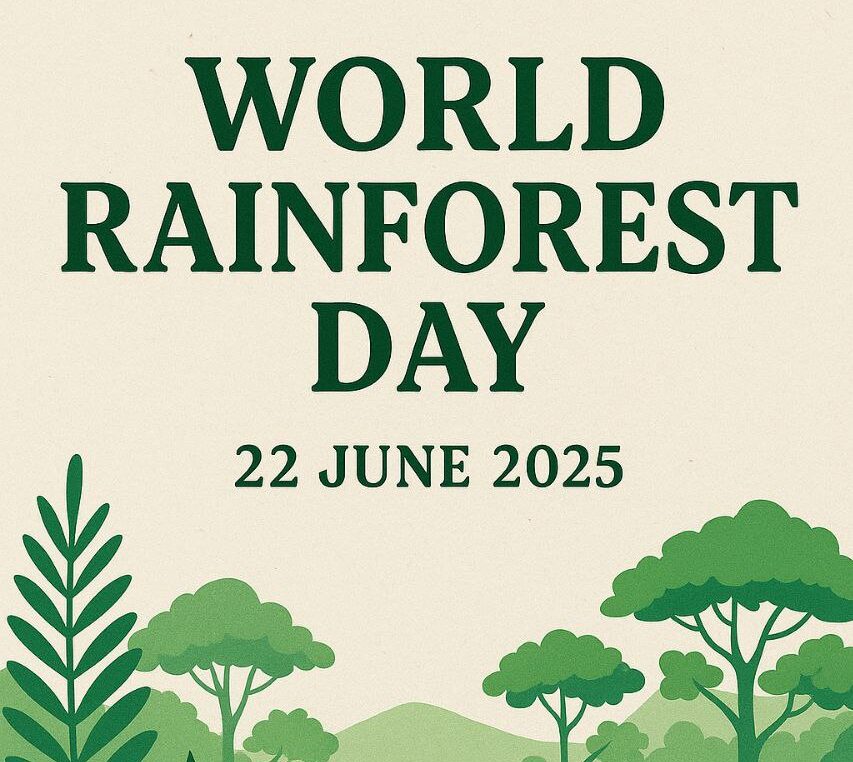 Join World Rainforest Day event with us.